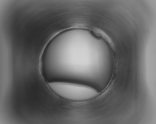 X0000102291284200807250953