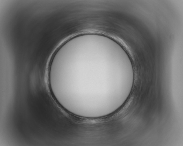 X0000102291286200807250953