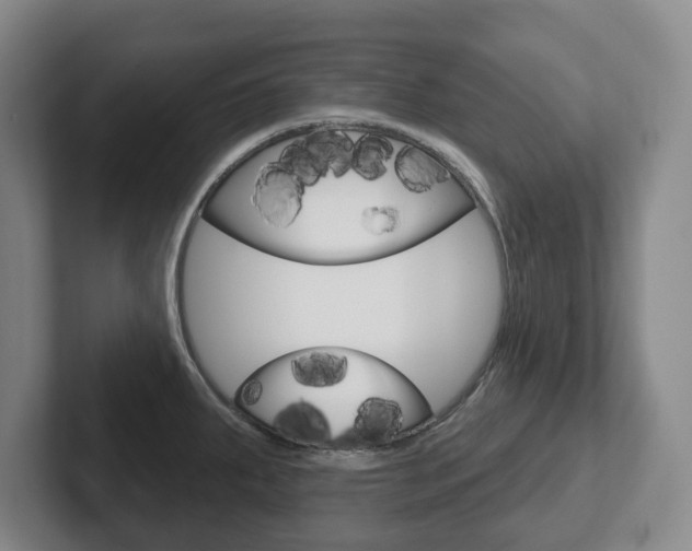X0000102291287200807250953