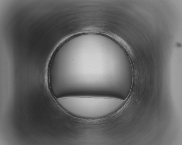 X0000102291288200807250953