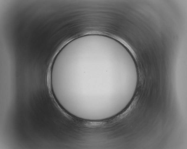 X0000102291290200807250953