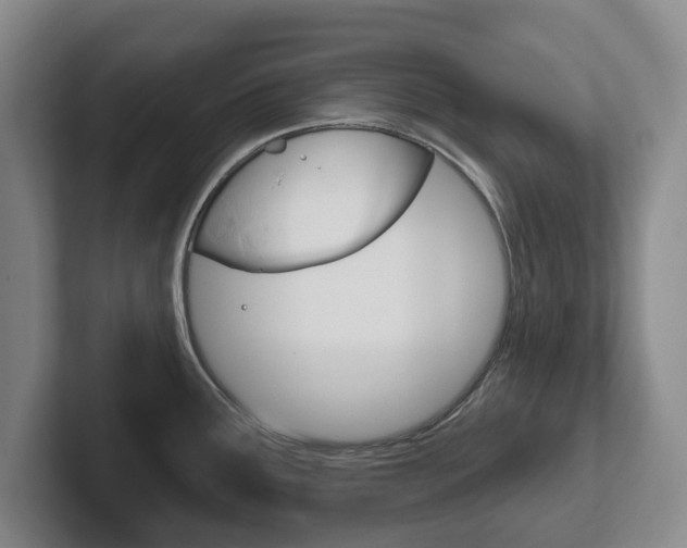 X0000102291291200807250953
