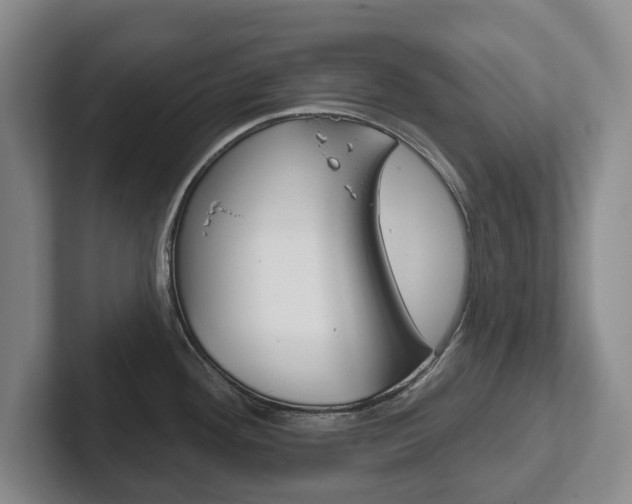 X0000102291292200807250953