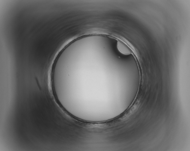 X0000102291293200807250953