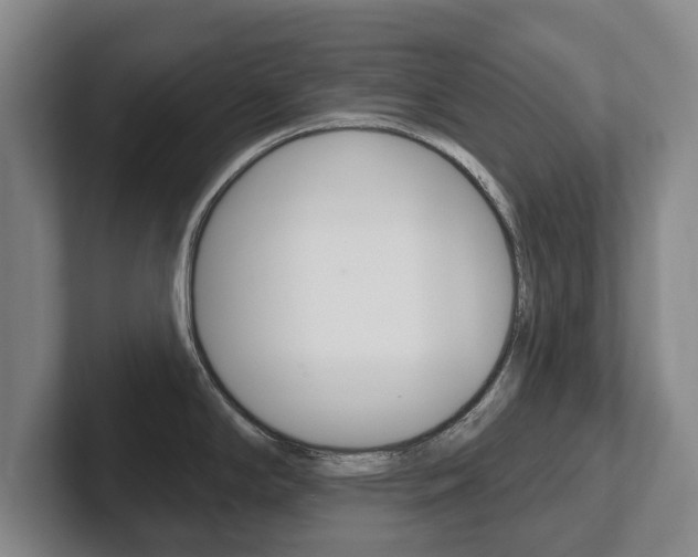 X0000102291294200807250953