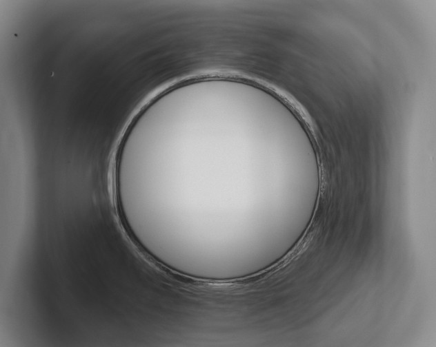 X0000102291295200807250953
