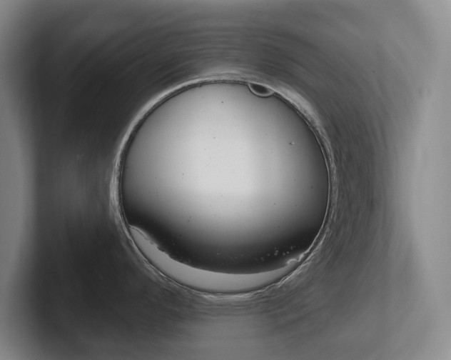X0000102291296200807250953