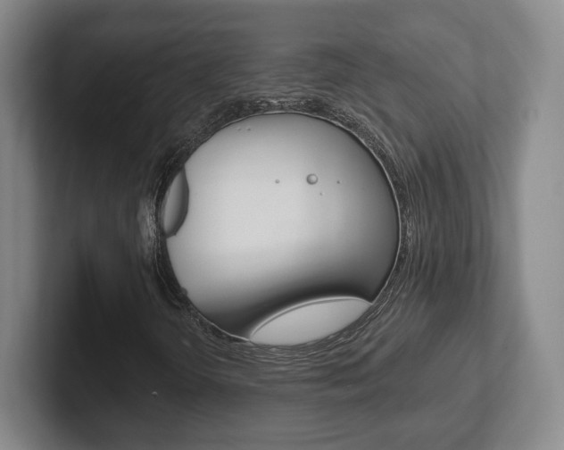 X0000102291298200807250953