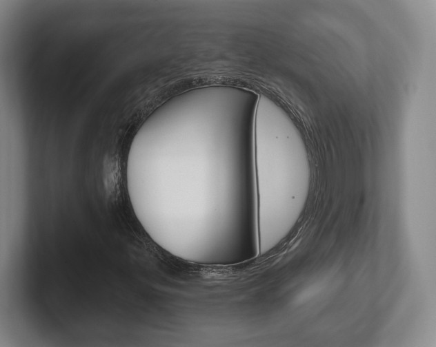 X0000102291299200807250953