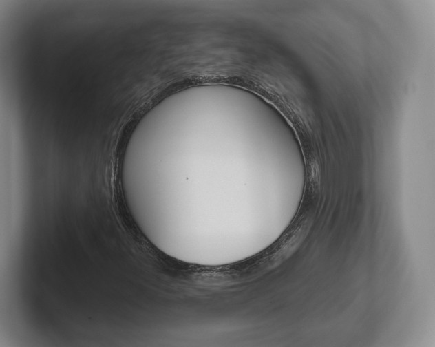 X0000102291300200807250953