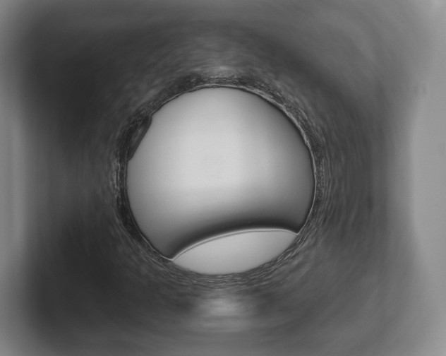 X0000102291301200807250953