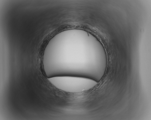 X0000102291302200807250953