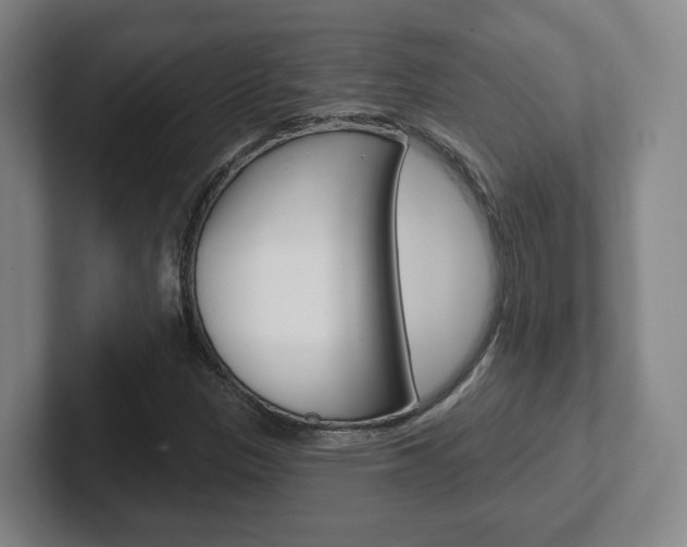 X0000102291305200807250953