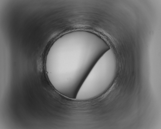 X0000102291306200807250953