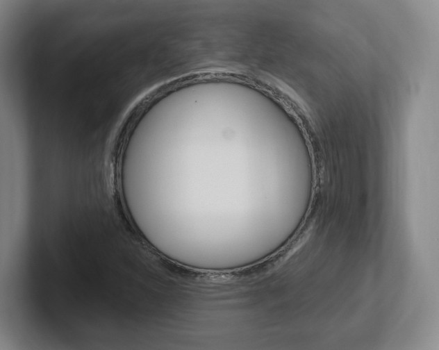 X0000102291310200807250953