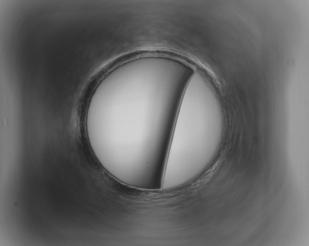 X0000102291311200807250953
