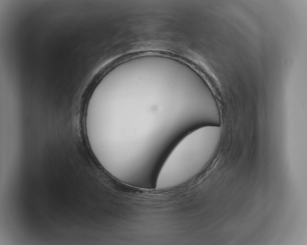 X0000102291312200807250953