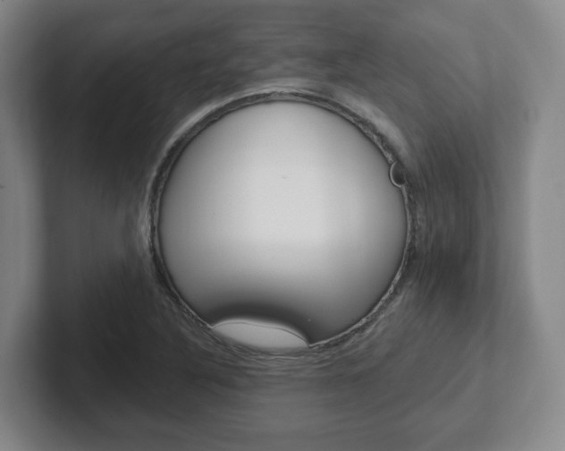 X0000102291316200807250953