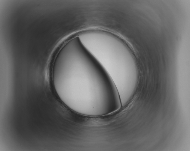 X0000102291319200807250953