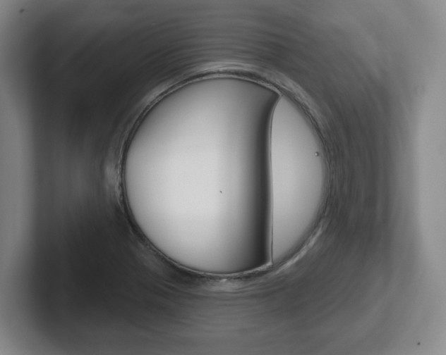 X0000102291321200807250953