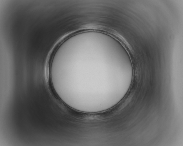 X0000102291323200807250953