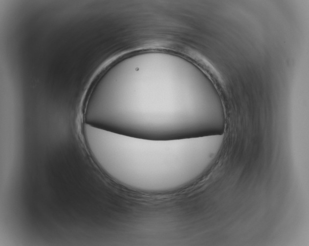 X0000102291324200807250953