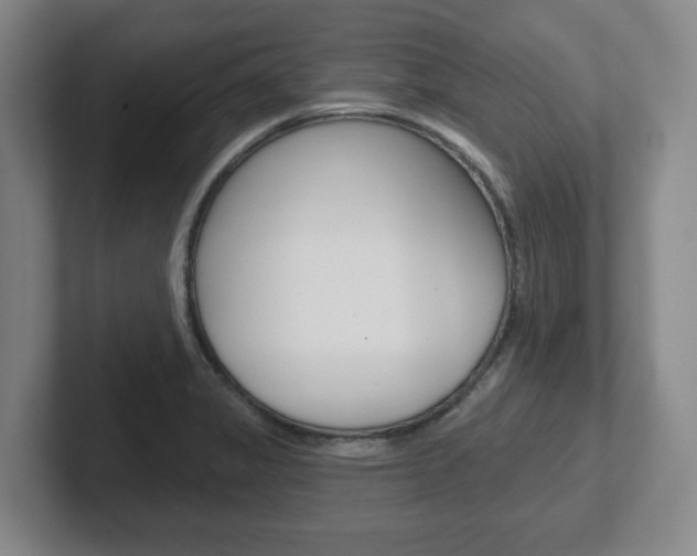 X0000102291325200807250953