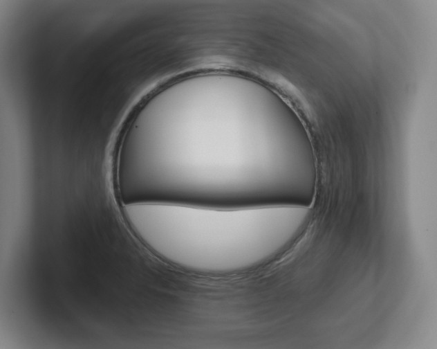 X0000102291326200807250953