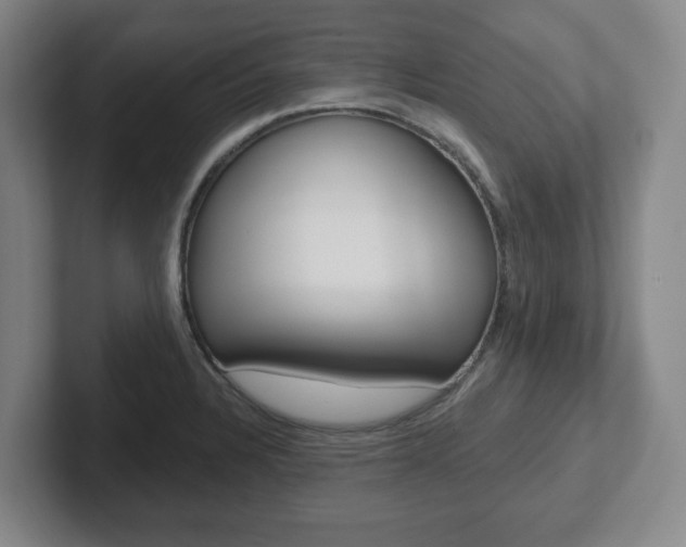 X0000102291328200807250953