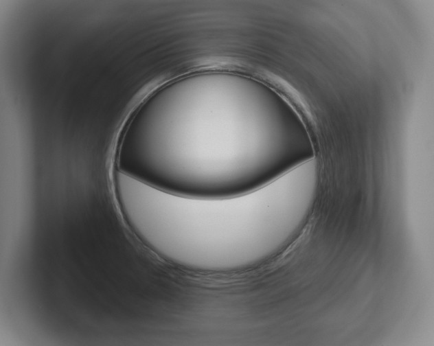 X0000102291330200807250953