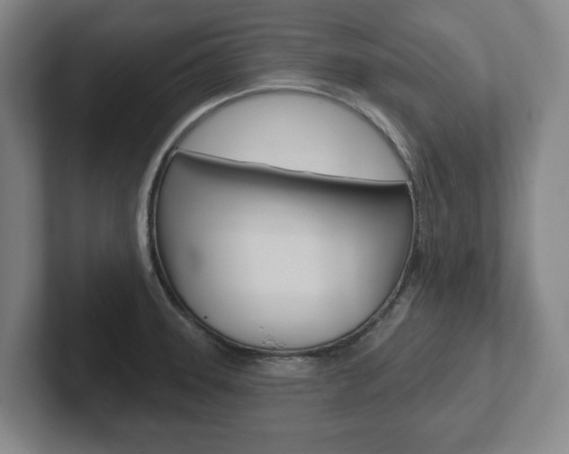 X0000102291331200807250953