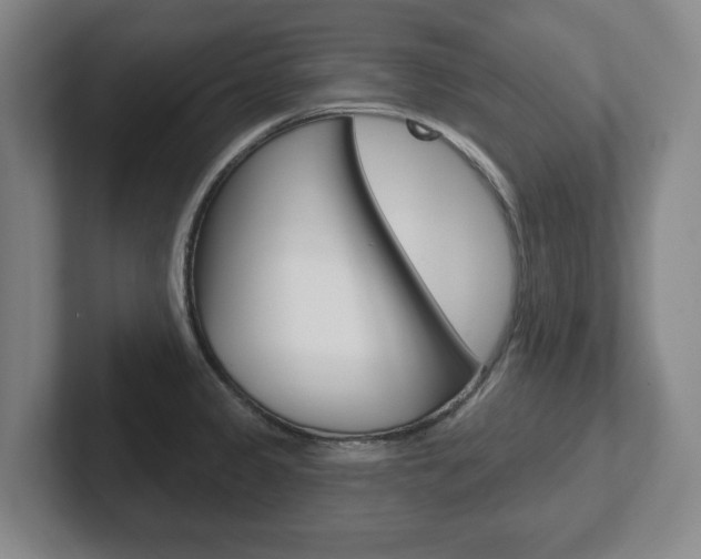 X0000102291333200807250953
