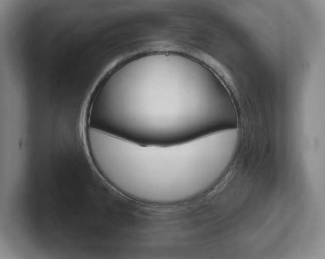 X0000102291334200807250953