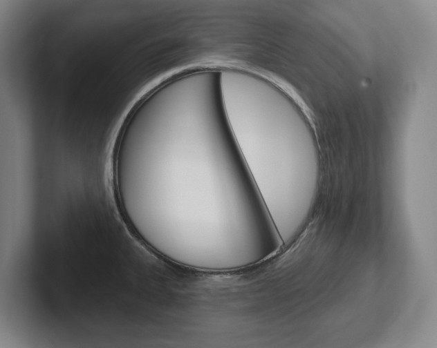 X0000102291335200807250953