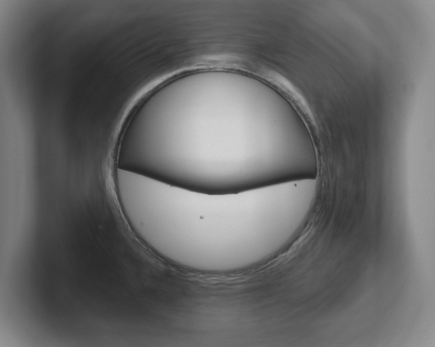 X0000102291336200807250953