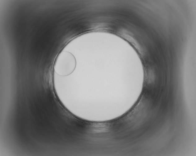 X0000102291338200807250953