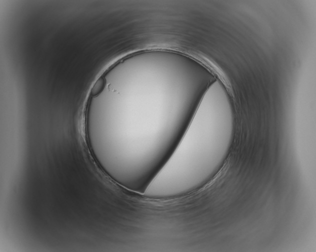 X0000102291340200807250953