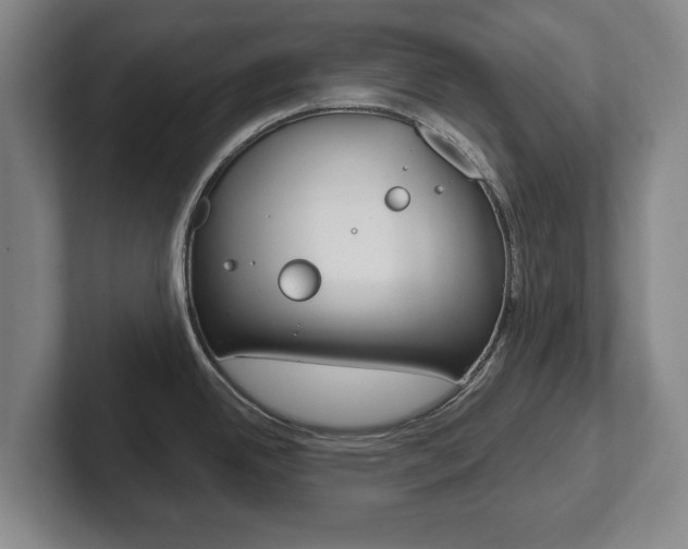 X0000102291342200807250953