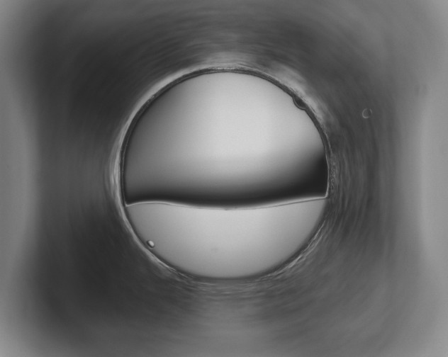 X0000102291343200807250953