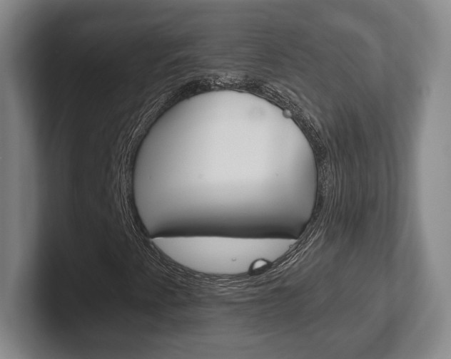 X0000102291345200807250953