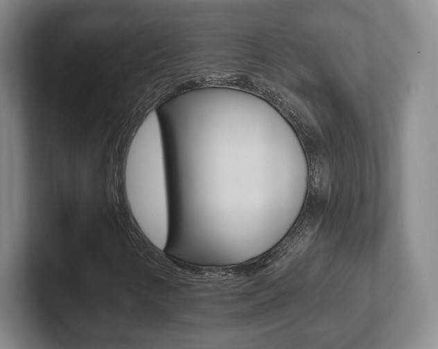 X0000102291346200807250953