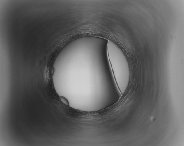 X0000102291347200807250953