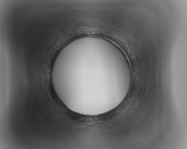 X0000102291349200807250953