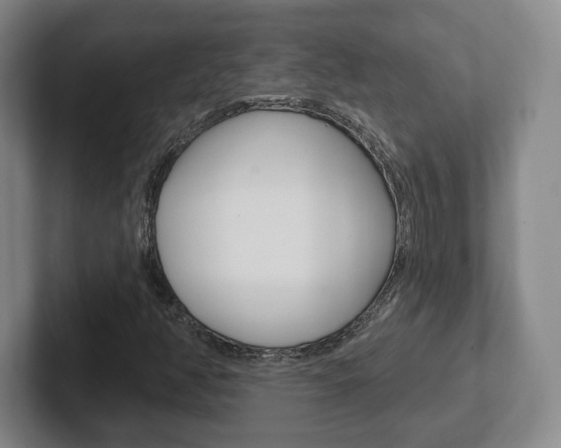 X0000102291350200807250953