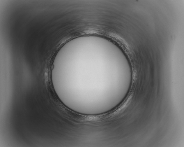 X0000102291353200807250953