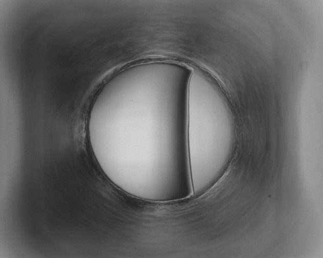 X0000102291355200807250953