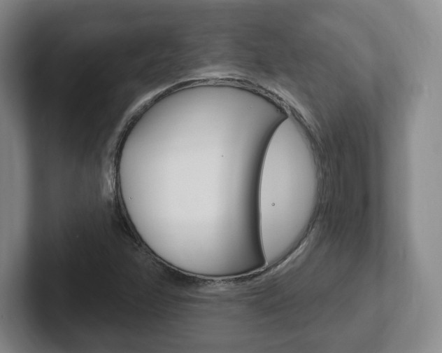 X0000102291358200807250953