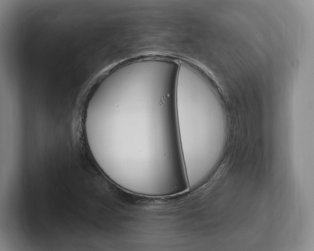 X0000102291359200807250953