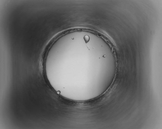 X0000102291360200807250952