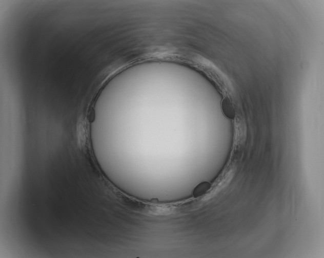 X0000102291361200807250952